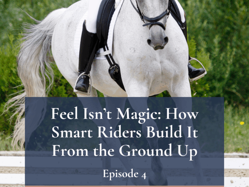 Mane Brain Podcast Episode 4 – Feel Isn’t Magic: How Smart Riders Build It From the Ground Up